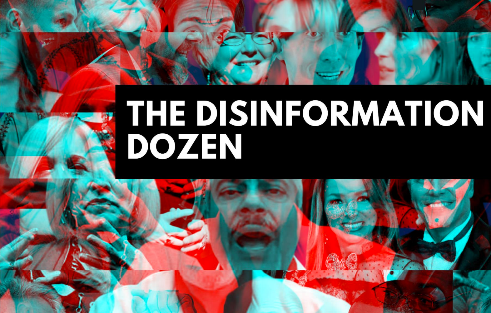 The 'Disinformation Dozen'